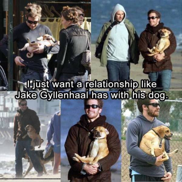 Daily Pictures. Part 2 (64 pics)