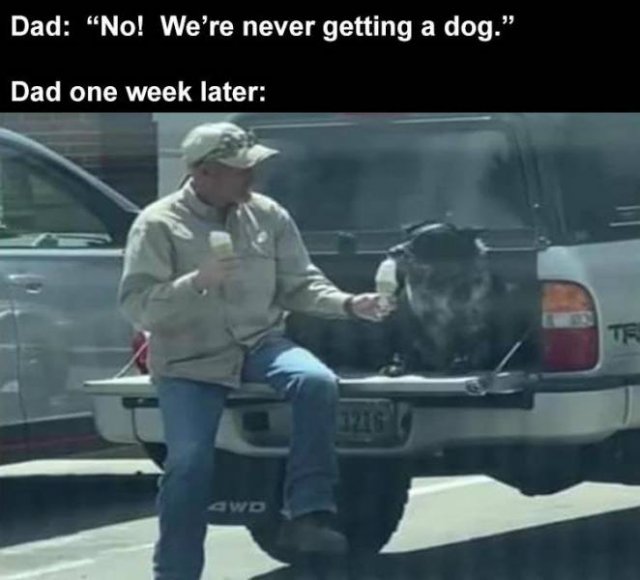 Daily Pictures. Part 2 (64 pics)