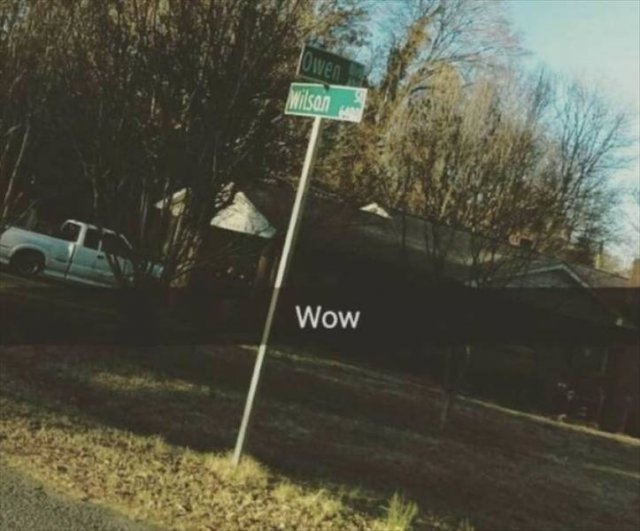 Daily Pictures. Part 2 (64 pics)