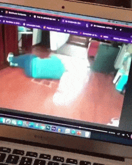 Acid GIFs, February 20 (25 gifs) Acid GIFs, February 20 (25 gifs)