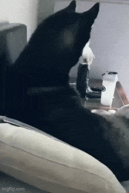 Acid GIFs, February 20 (25 gifs) Acid GIFs, February 20 (25 gifs)