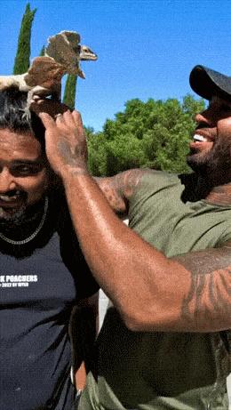 Acid GIFs, February 20 (25 gifs) Acid GIFs, February 20 (25 gifs)