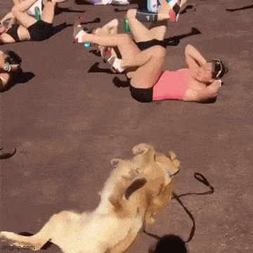 Acid GIFs, February 20 (25 gifs) Acid GIFs, February 20 (25 gifs)