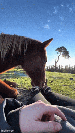 Acid GIFs, February 20 (25 gifs) Acid GIFs, February 20 (25 gifs)