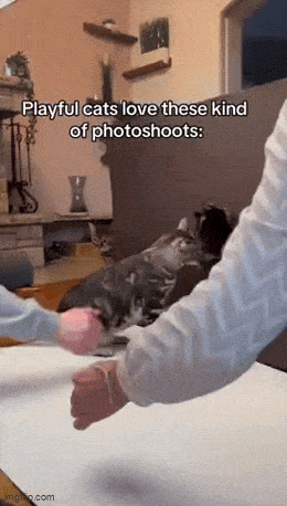 Acid GIFs, February 20 (25 gifs) Acid GIFs, February 20 (25 gifs)