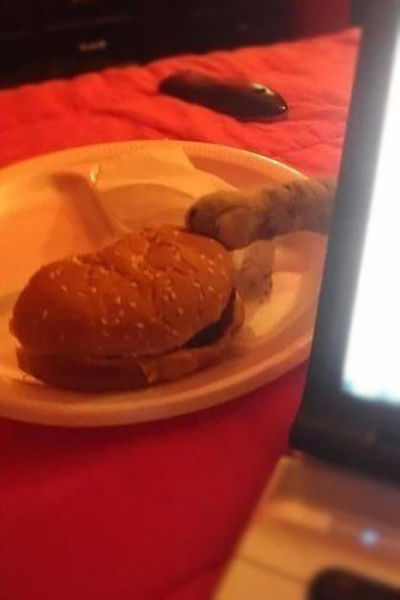 Right Moment (27 pics) Right Moment (27 pics)