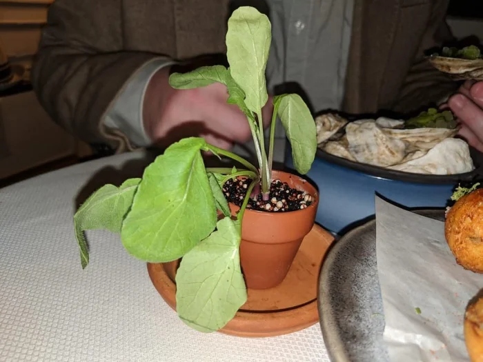 Crazy Food Serving (29 pics) Crazy Food Serving (29 pics)