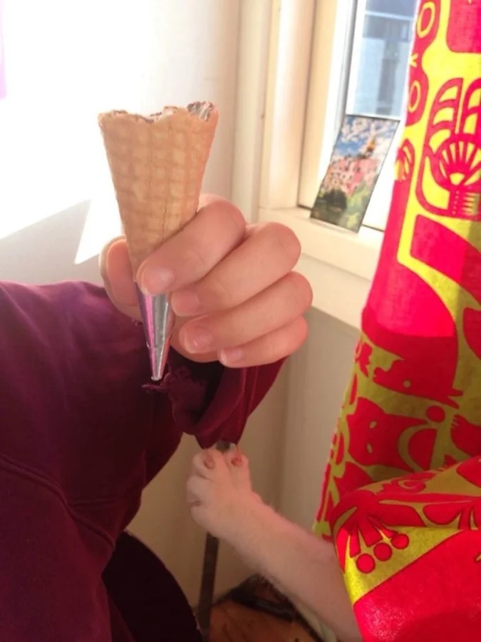 Cute Thieves (20 pics) Cute Thieves (20 pics)