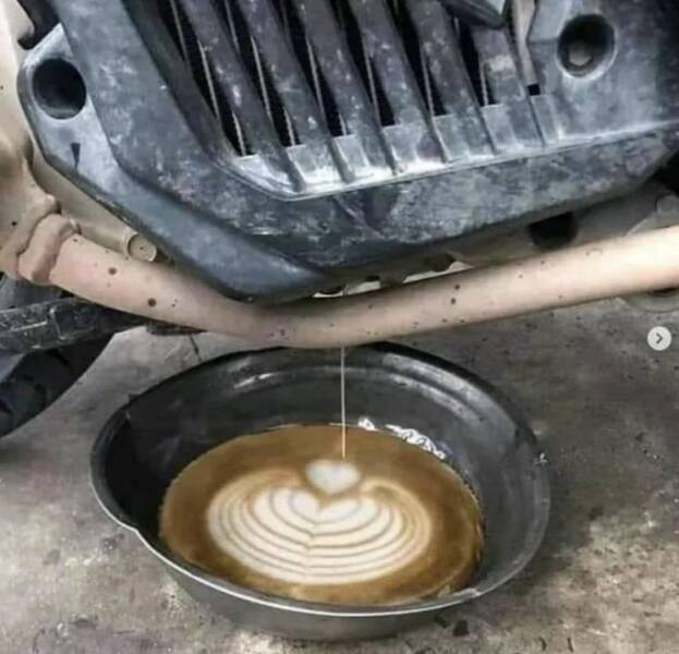 Daily Pictures. Part 1 (67 pics)