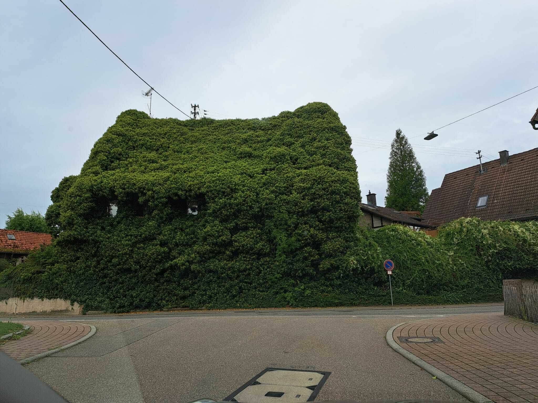 Daily Pictures. Part 1 (67 pics)