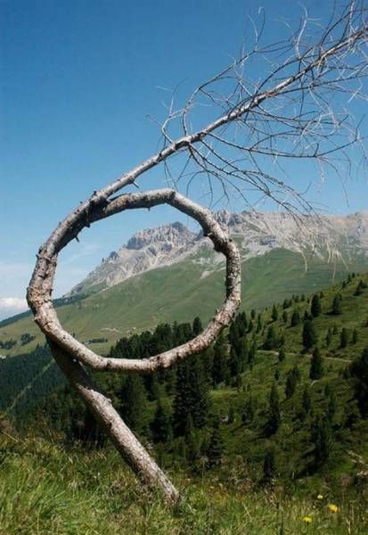 Daily Pictures. Part 1 (67 pics)