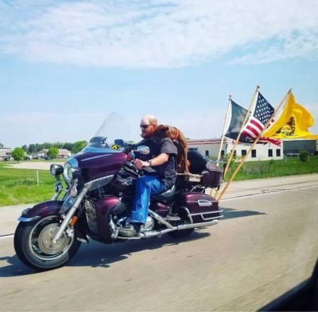 Daily Pictures. Part 1 (67 pics)