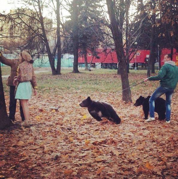 Daily Pictures. Part 1 (67 pics)