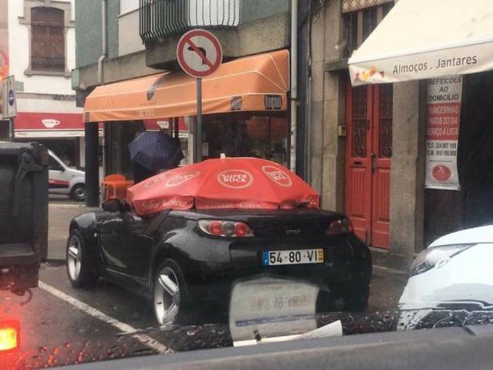 Daily Pictures. Part 1 (67 pics)