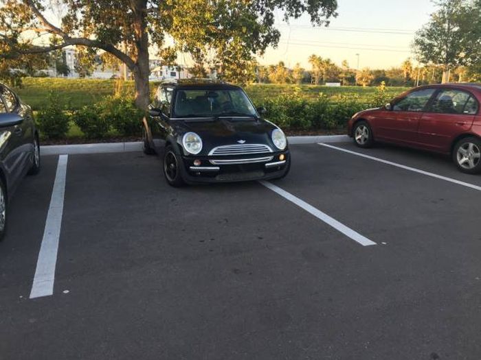 Daily Pictures. Part 1 (67 pics)