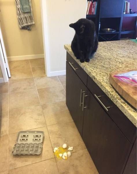 Daily Pictures. Part 1 (67 pics)