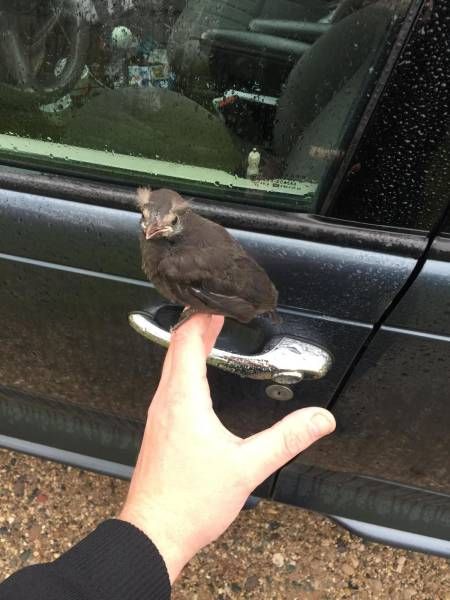 Daily Pictures. Part 1 (67 pics)