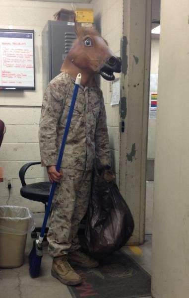 Daily Pictures. Part 1 (67 pics)