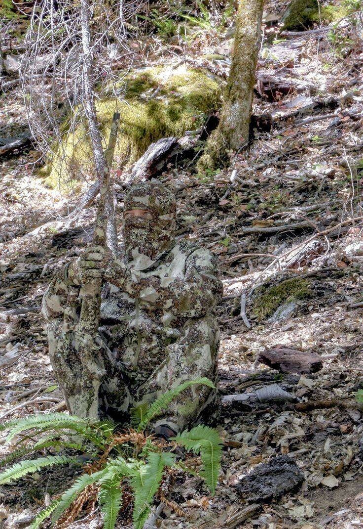 Daily Pictures. Part 1 (67 pics)