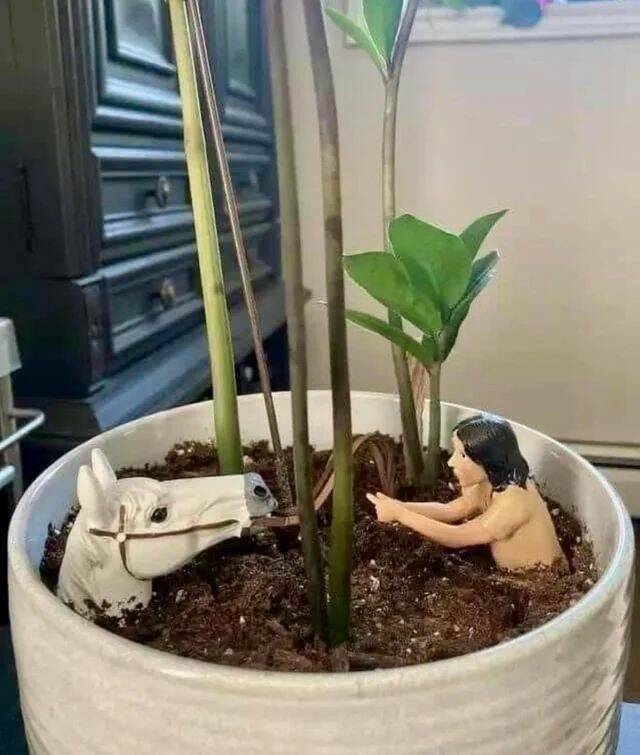 Daily Pictures. Part 1 (67 pics)