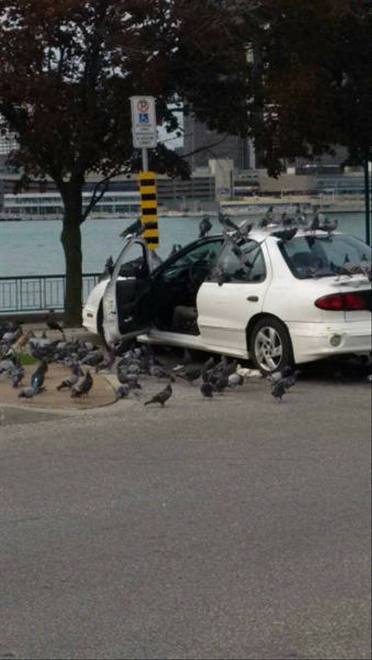 Daily Pictures. Part 2 (66 pics) Daily Pictures. Part 2 (66 pics)