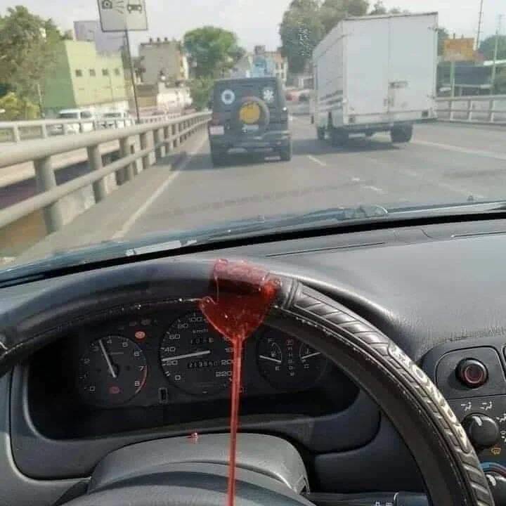 Daily Pictures. Part 2 (66 pics) Daily Pictures. Part 2 (66 pics)