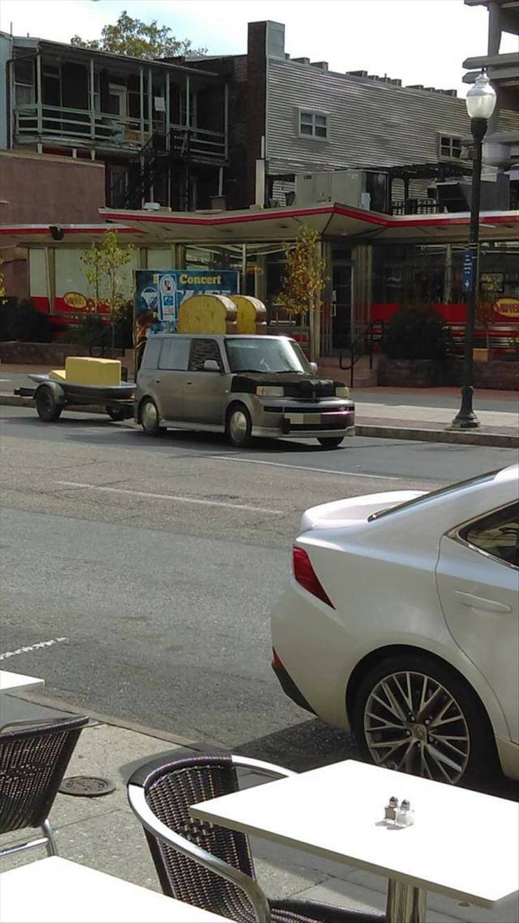 Daily Pictures. Part 1 (67 pics)