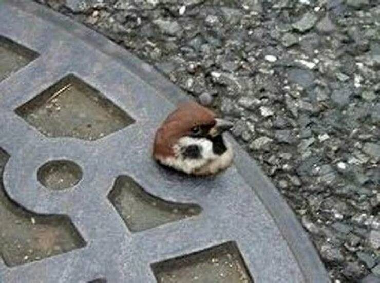 Daily Pictures. Part 2 (66 pics) Daily Pictures. Part 2 (66 pics)