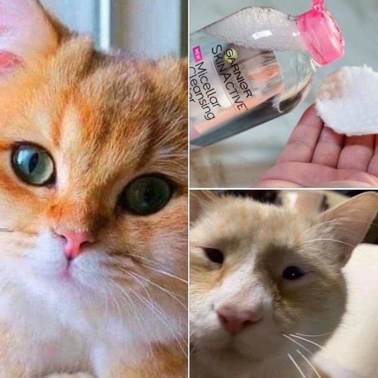 Daily Pictures. Part 2 (66 pics) Daily Pictures. Part 2 (66 pics)