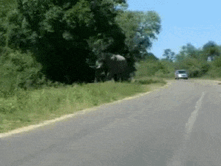 Acid GIFs, February 23 (25 gifs) Acid GIFs, February 23 (25 gifs)