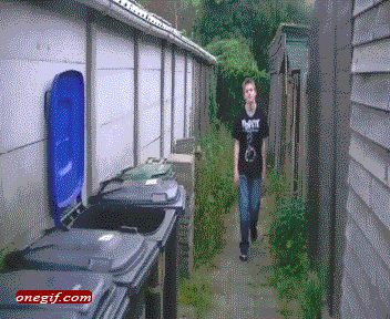 Acid GIFs, February 23 (25 gifs) Acid GIFs, February 23 (25 gifs)