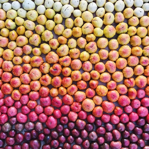 Photos For Perfectionists (19 pics)