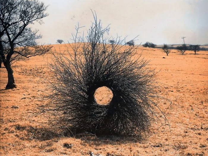 Photos For Perfectionists (19 pics)