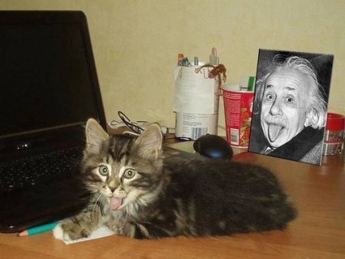 Unexpected Coincidences (23 pics) Unexpected Coincidences (23 pics)