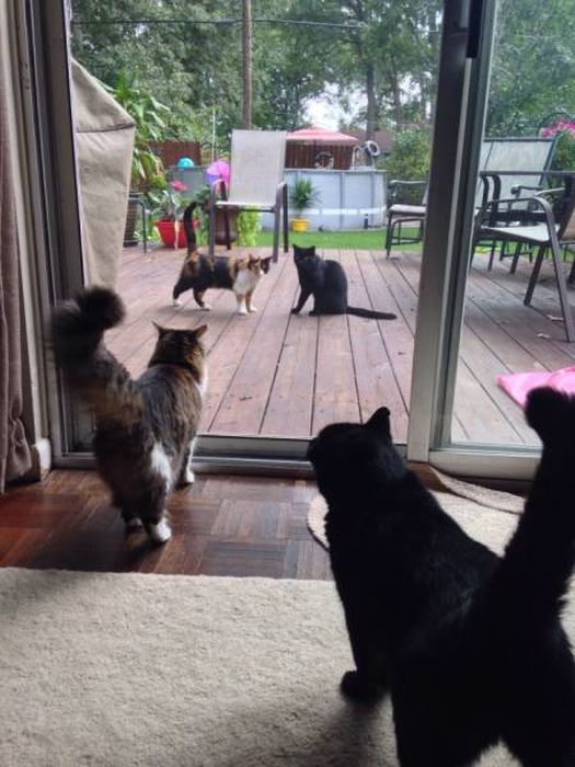 Unexpected Coincidences (23 pics) Unexpected Coincidences (23 pics)