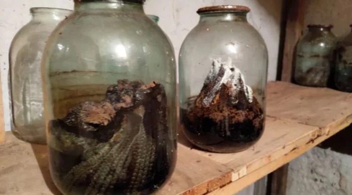 Bad Days Happen (19 pics)