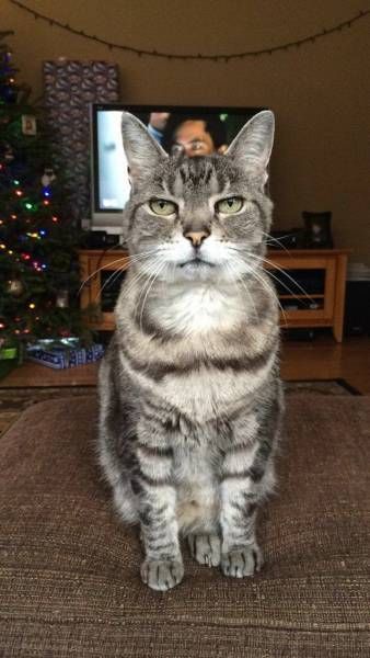 Daily Pictures. Part 1 (65 pics)