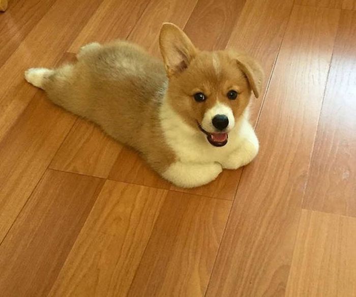 Daily Pictures. Part 1 (65 pics)