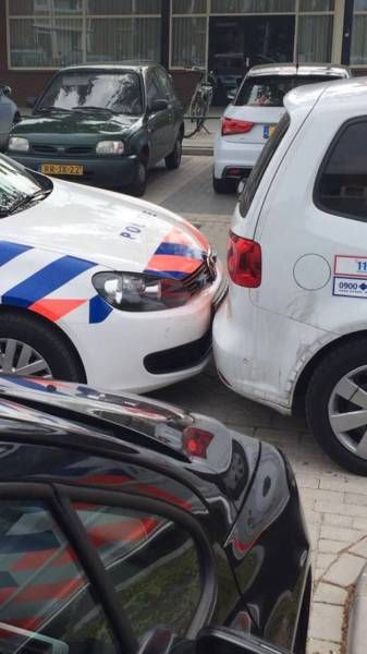 Daily Pictures. Part 1 (65 pics)