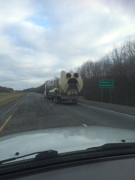 Daily Pictures. Part 1 (65 pics)