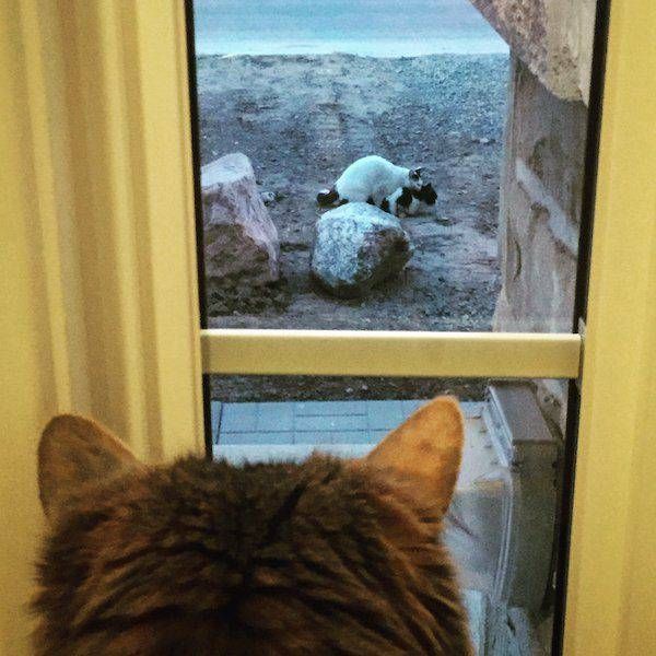 Daily Pictures. Part 1 (65 pics)