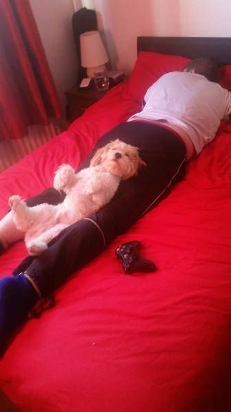 Daily Pictures. Part 1 (65 pics)