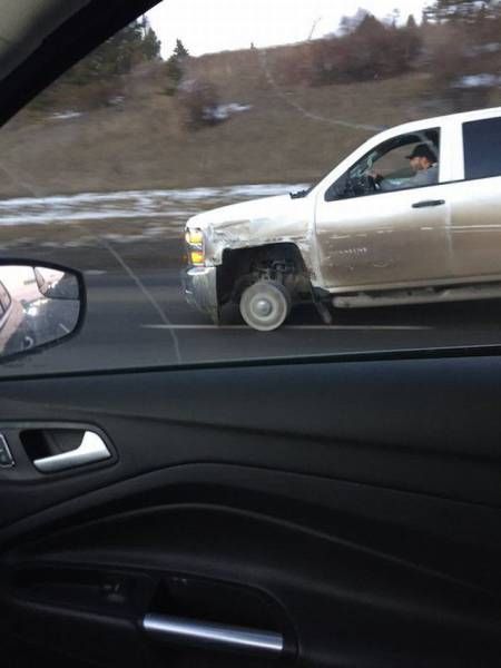 Daily Pictures. Part 1 (65 pics)