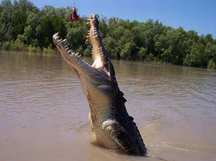 Daily Pictures. Part 1 (65 pics)