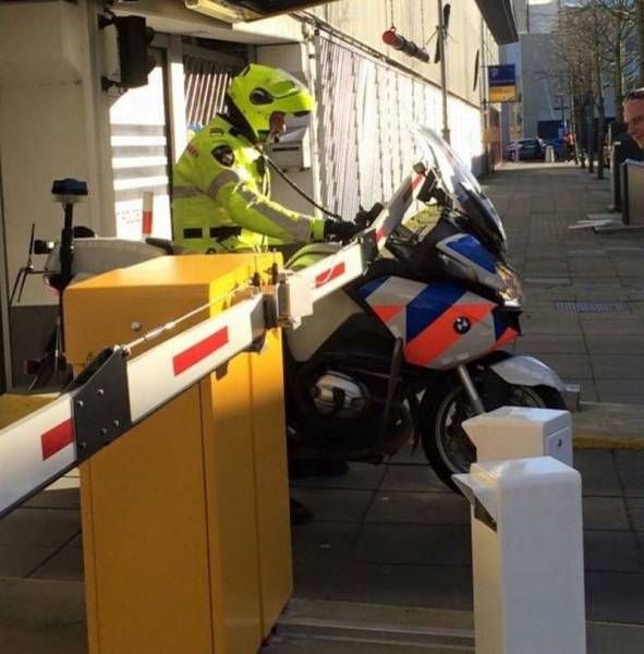 Daily Pictures. Part 1 (65 pics)