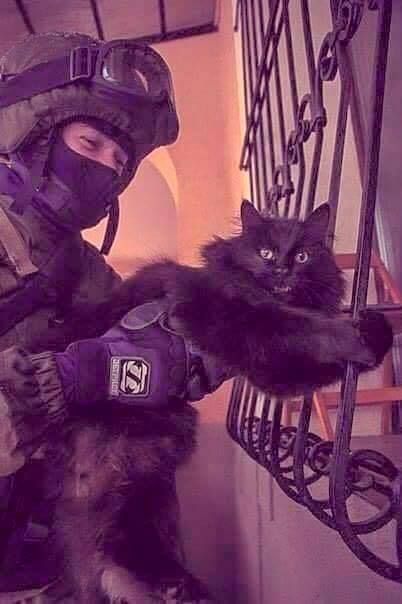 Daily Pictures. Part 1 (65 pics)