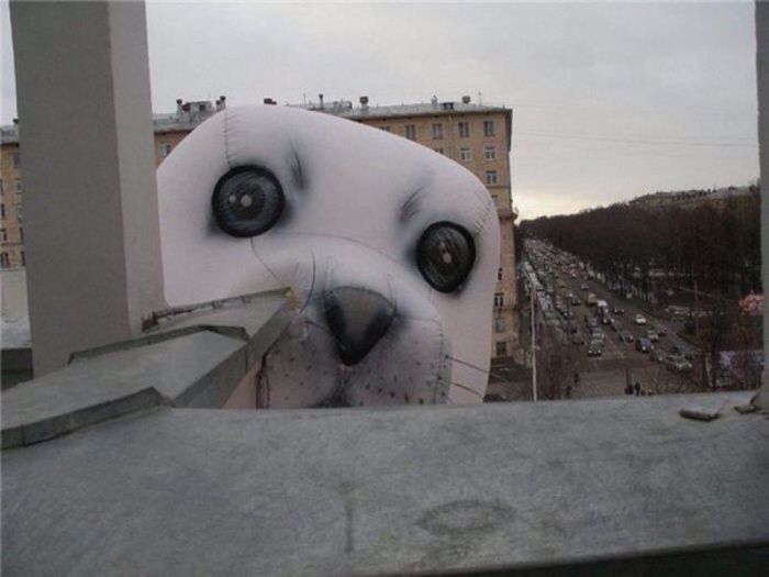 Daily Pictures. Part 1 (65 pics)