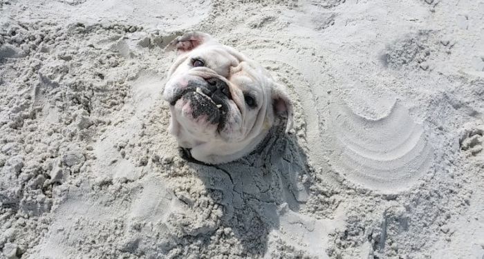 Daily Pictures. Part 1 (65 pics)