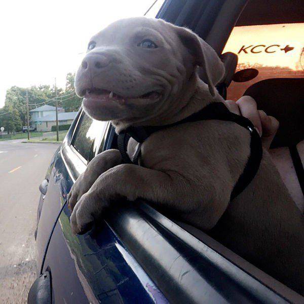 Daily Pictures. Part 1 (65 pics)