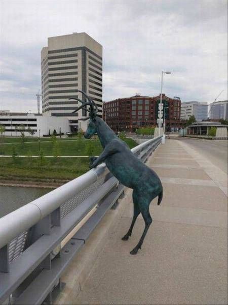 Daily Pictures. Part 1 (65 pics)